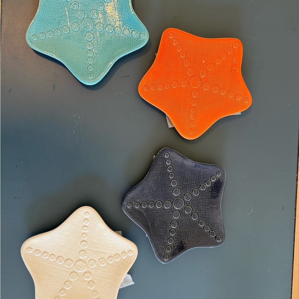 Starfish / Silver Dollar Shaped Coasters Set